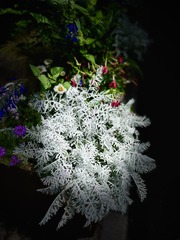 94BB501C-9BDB-45C4-823B-9171EE03E285/L0/001