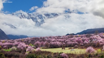 林芝四月