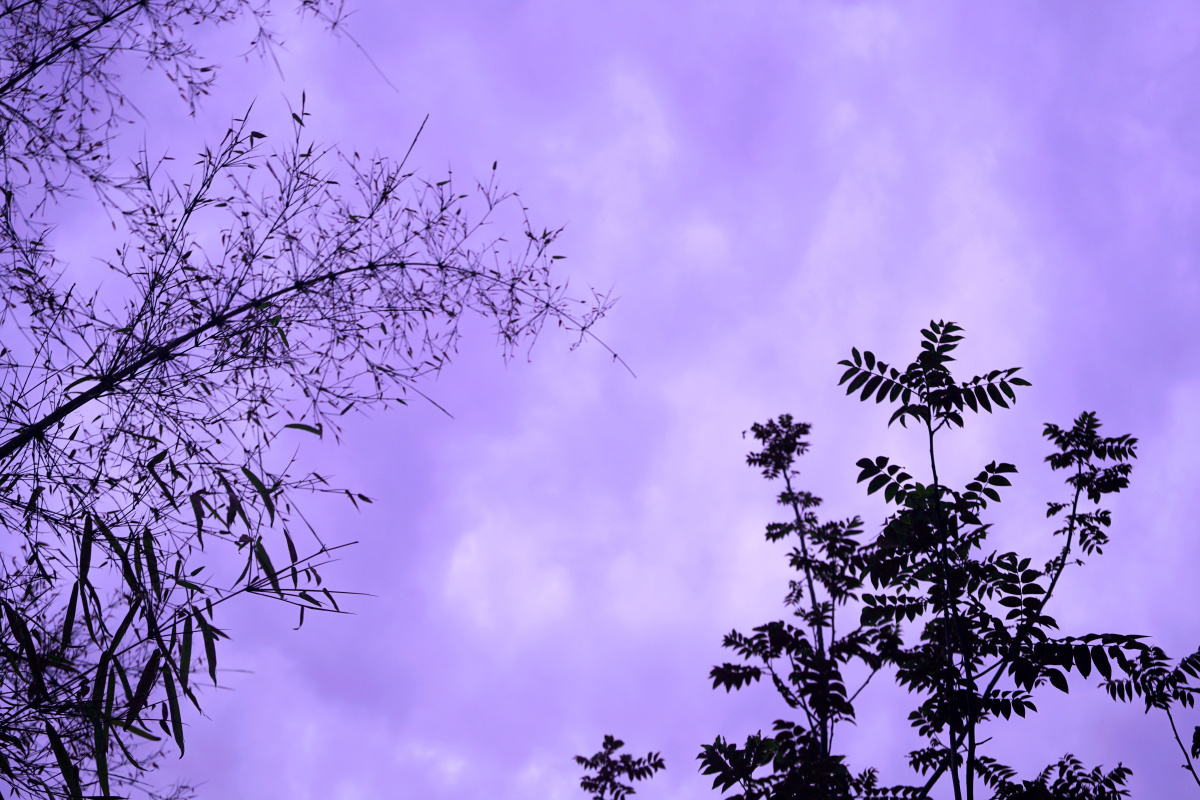 不同色系的天空