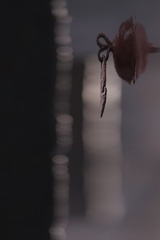 1341891