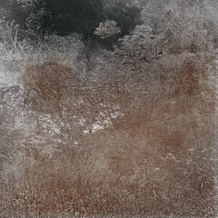 1301062