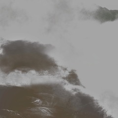 1242954