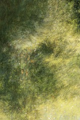 1191272