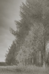 1170657