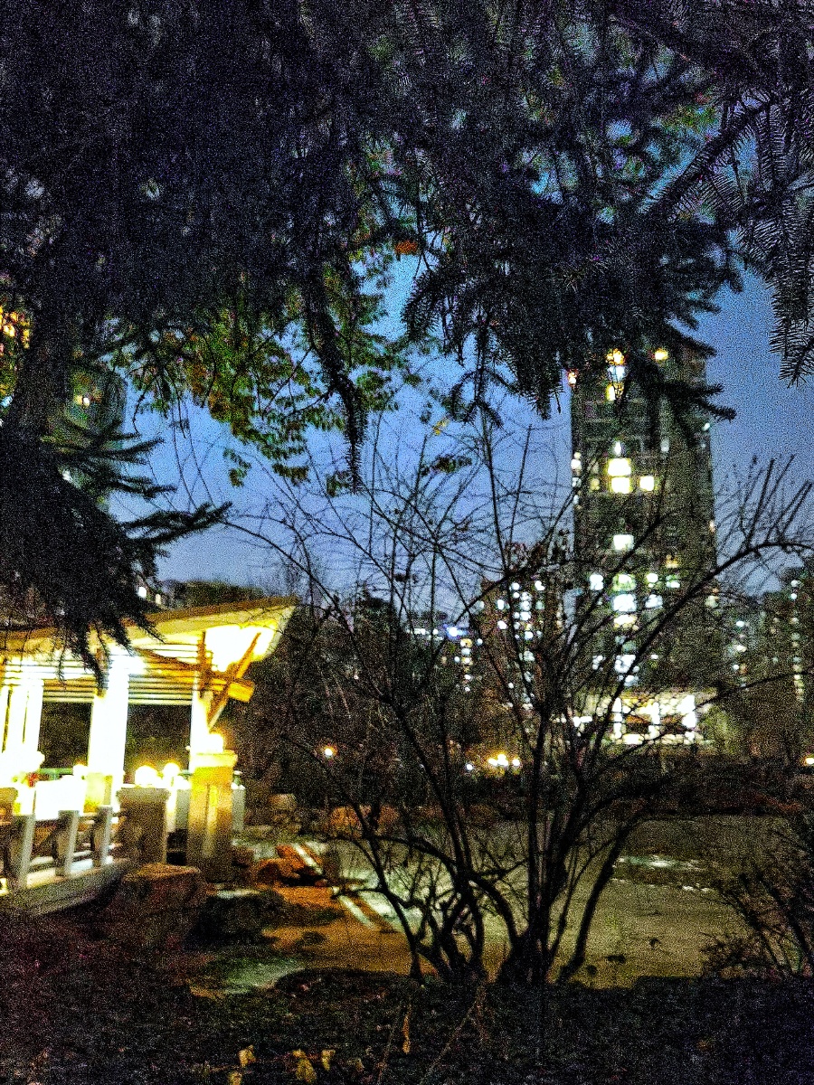 小区夜色