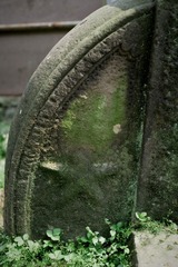 1554628