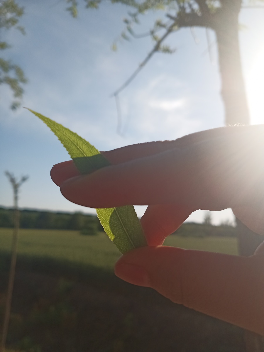 阳光正好,微风不燥