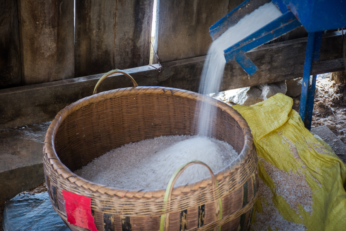 年前的准备——大米