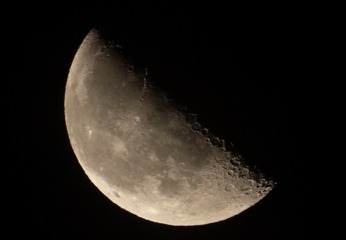 A0085732-9C29-475A-8F19-BE8E2F1D4A2C/L0/001