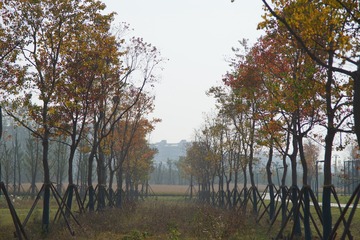 DSC00504
