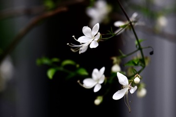 4F74E8F0-7E8C-4FD6-A2B4-BFD390899983/L0/001