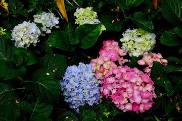 B2CCE40D-E247-41ED-83A2-1B35420F312F/L0/001