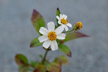 A45FCB1B-78E1-4DB8-9506-AA2221D3504F/L0/001