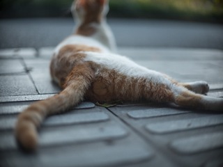 5061