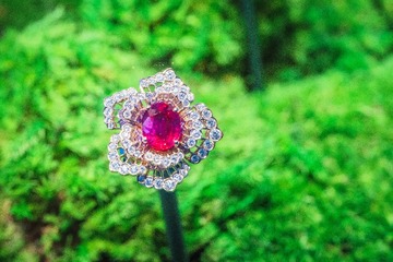 _DSA1079
