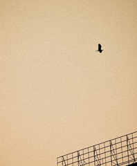 88C70155-D675-4AAE-B3FC-22083CE23DB4/L0/001