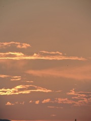 84D3B45D-3321-4937-9A0C-979180C941D3/L0/001
