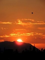 64522F9A-FD62-42C1-92CF-FEB4F1B72171/L0/001