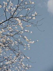 59863406-7DF4-49D0-BF04-B53A6D22CB1B/L0/001