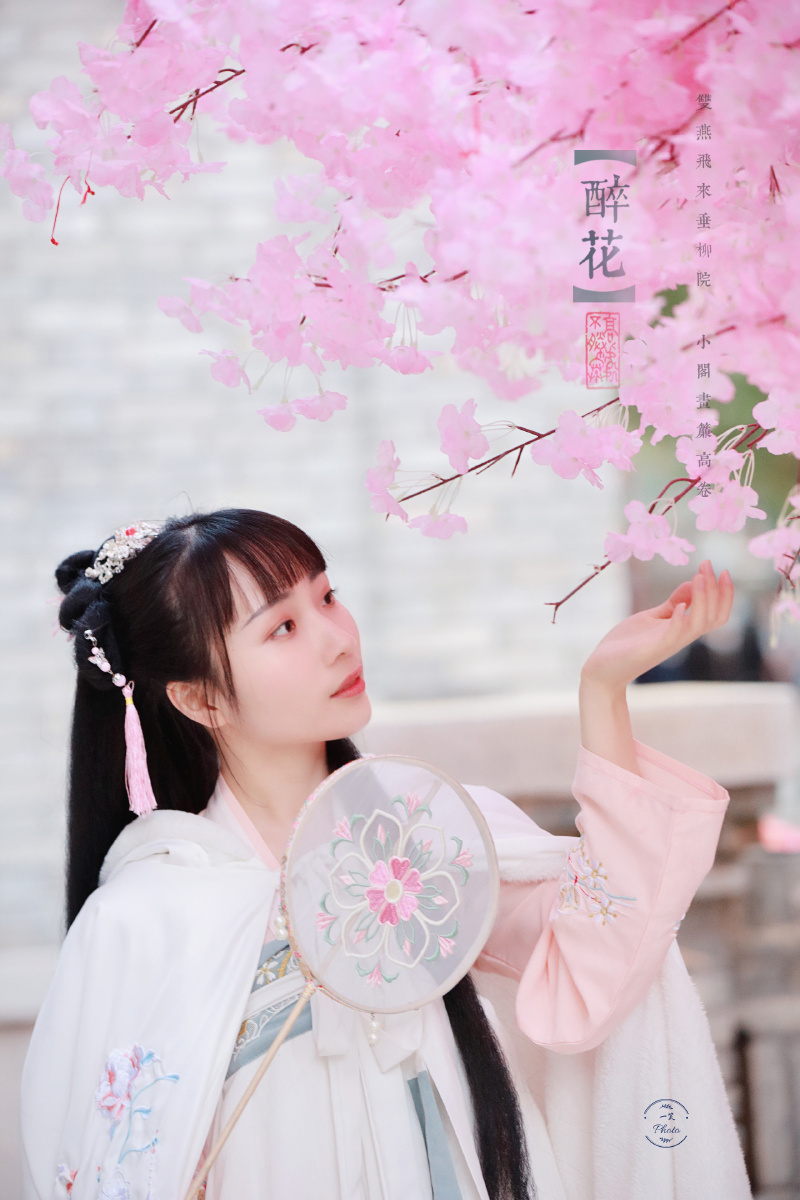 古风拍摄泛柳飞飞絮妆梅片片花