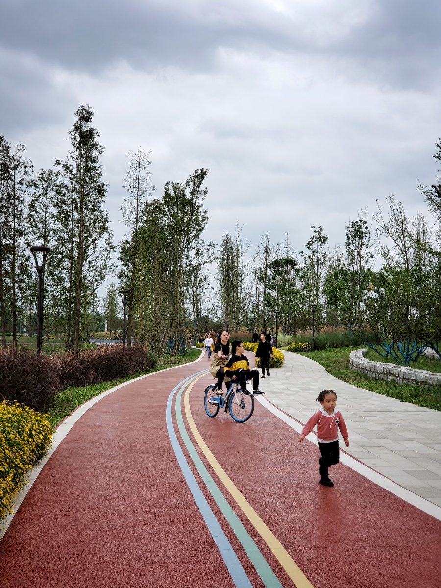 刚刚开园水草不多植物刚刚移栽只有宽阔的水面和红蓝绿三色绿道醒目