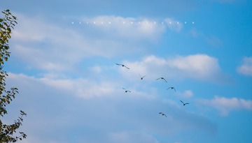 1021124
