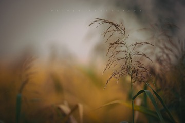 1021123