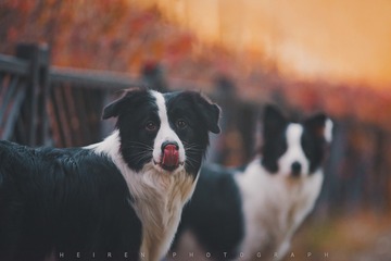 1050957