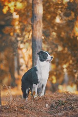 1050941