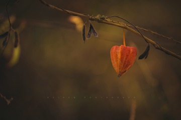 1021128