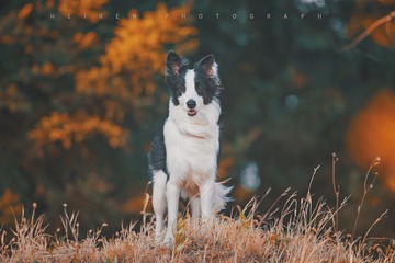 1050939