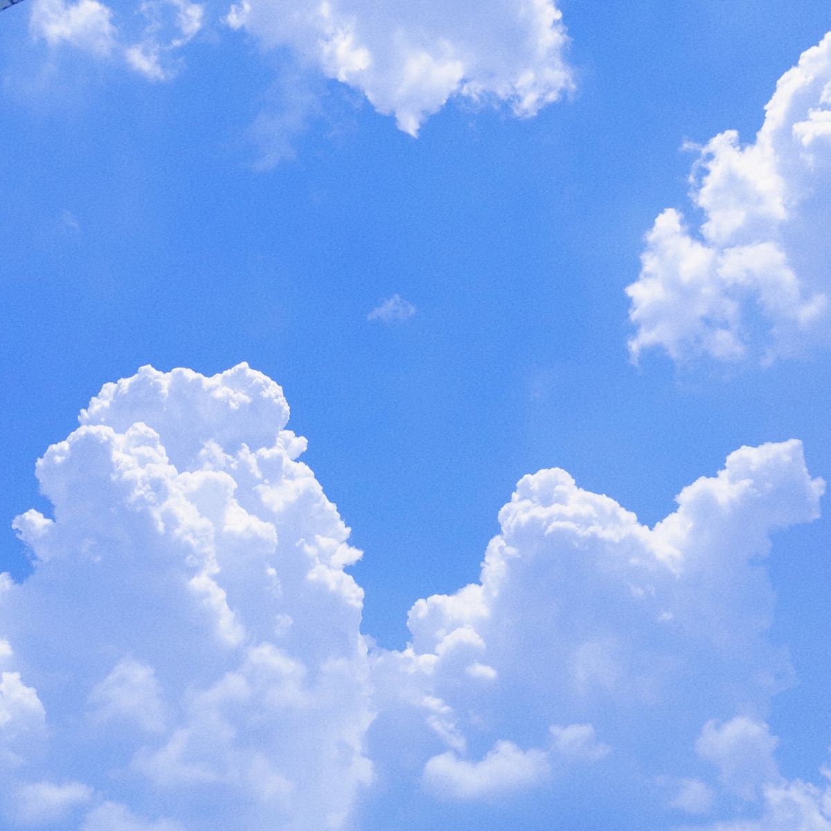 湛蓝天空上像奶油泡芙一样的云朵溢出夏天的味道