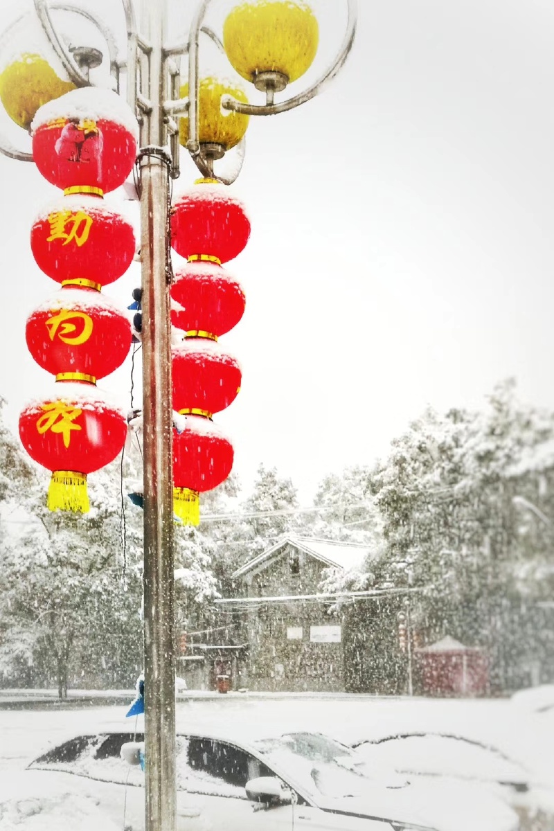 手机摄影雪中红灯笼
