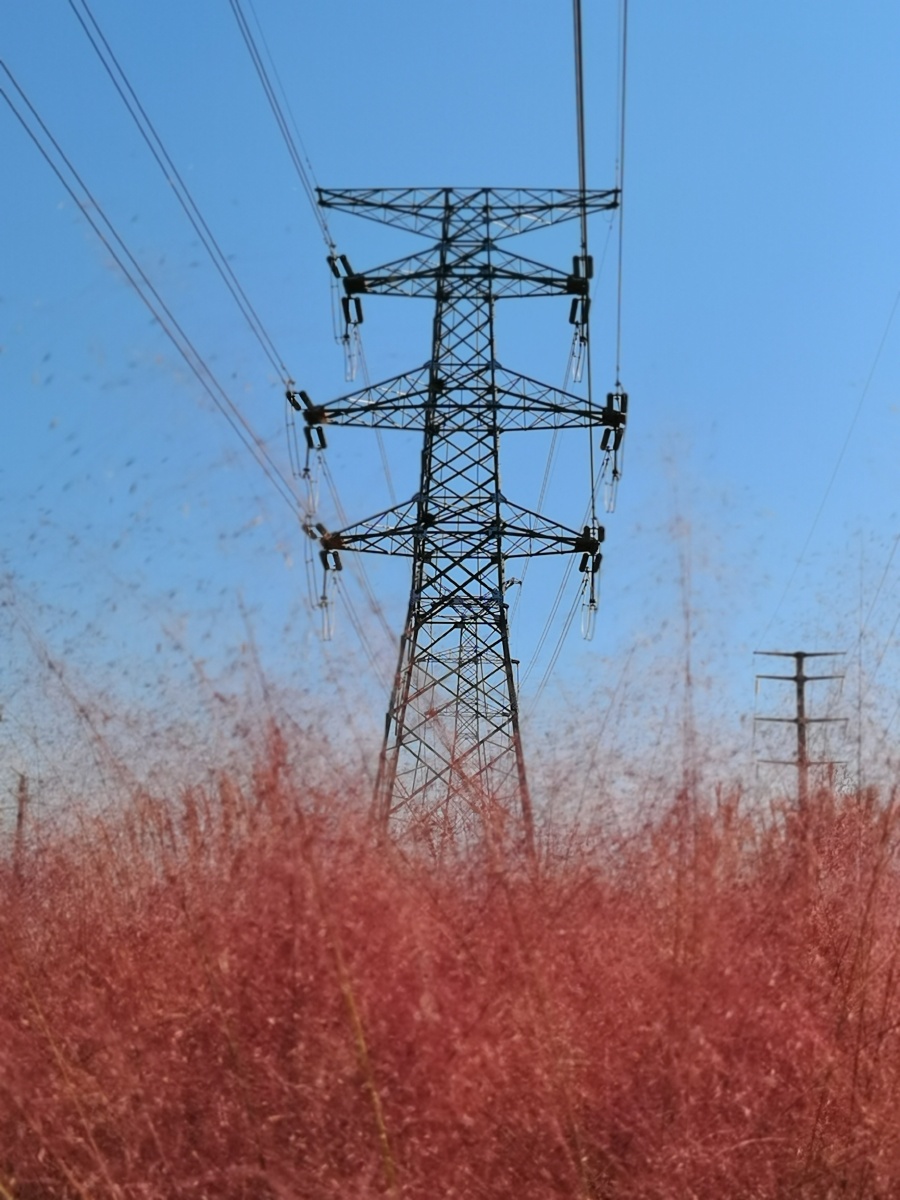 大房郢体育公园