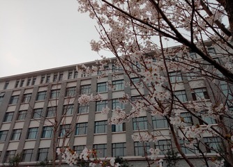 649800