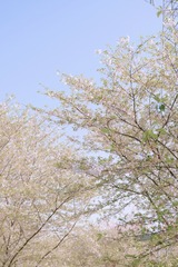 B25A6F77-6D69-4939-A25C-3DA5A9DD6776/L0/001