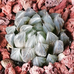 359821