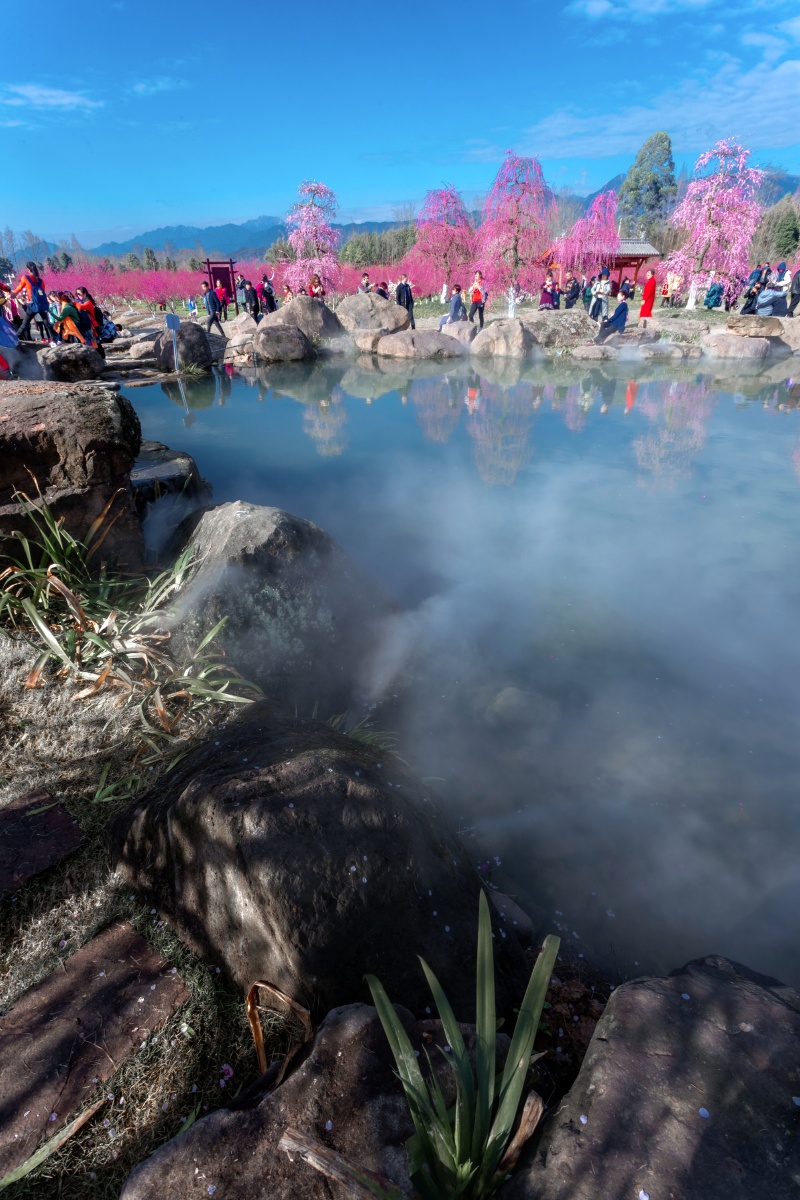 都江堰问花村
