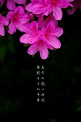 721028