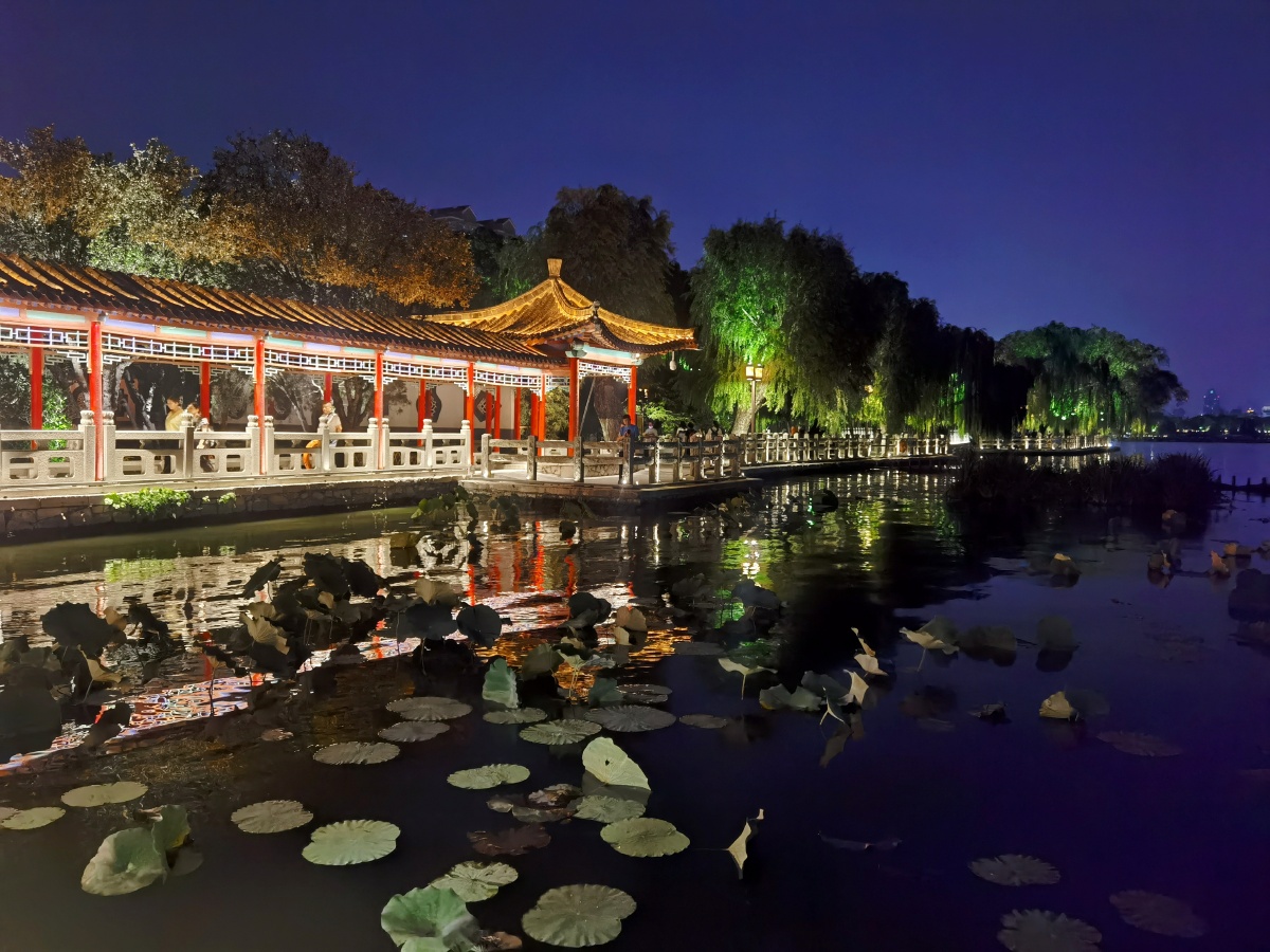 大明湖的菏风不及夜色万一于济南大明湖