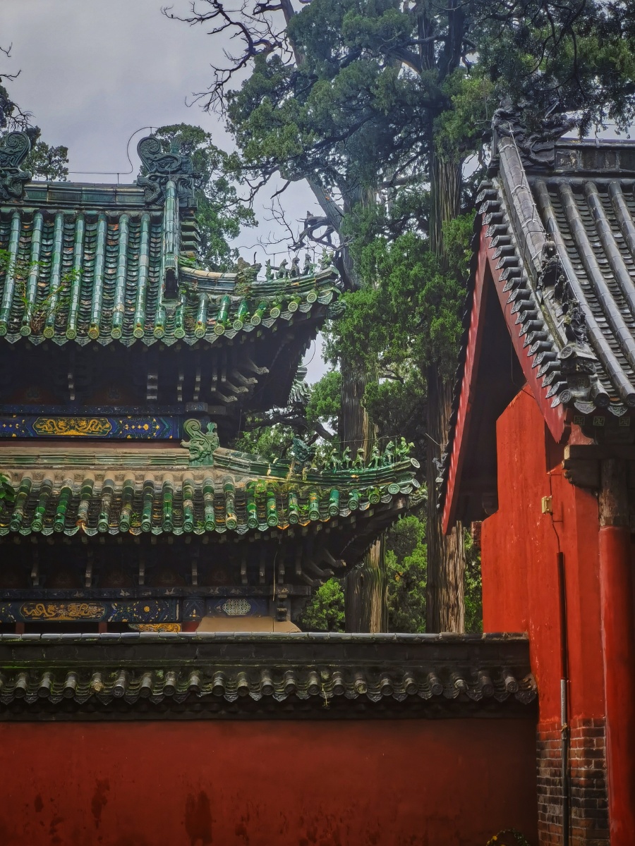 亚圣故里纤雨千润于山东济宁孟庙孟府