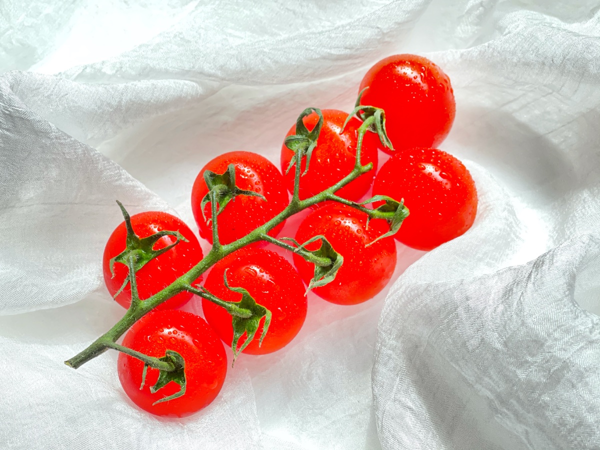 一串串樱桃小柿子