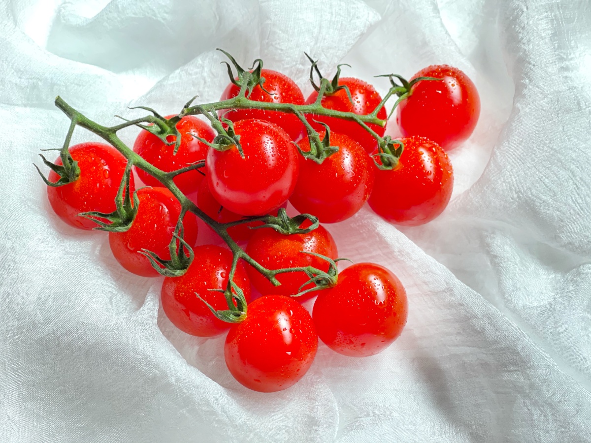 一串串樱桃小柿子