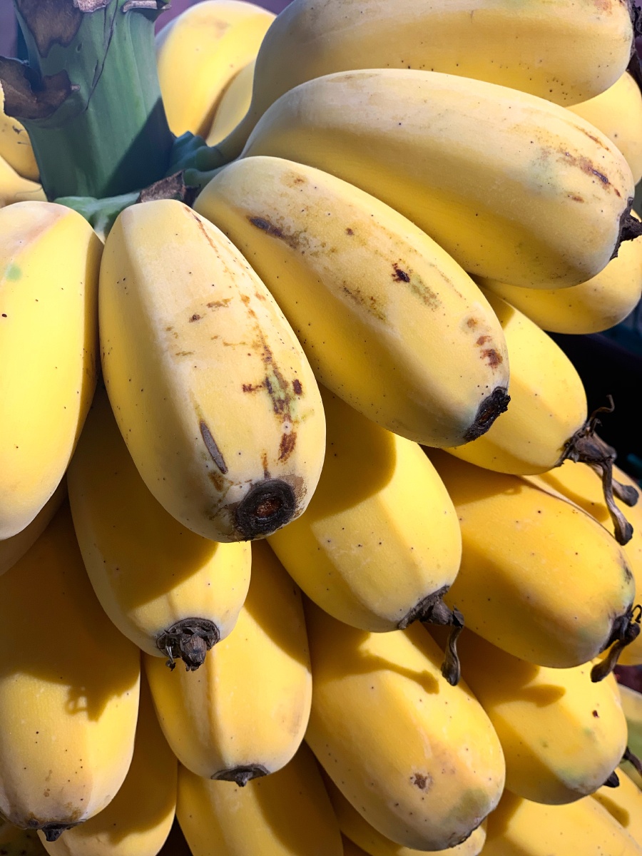 一串大芭蕉 - 闪金灰 - 图虫