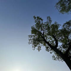 A54B3E8A-9082-4EA4-A361-C9503CD53085/L0/001