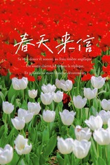 AF3C68CA-6BBB-4D3F-A1BF-9ABE6FE1E992/L0/001