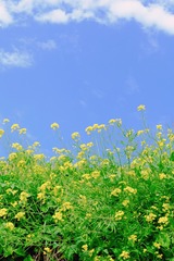 62FA5C8C-D2DB-4E75-AE07-48B4E2549406/L0/001
