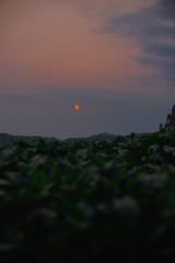 7FA418AD-071A-45D2-81CE-803967D23D9F/L0/001