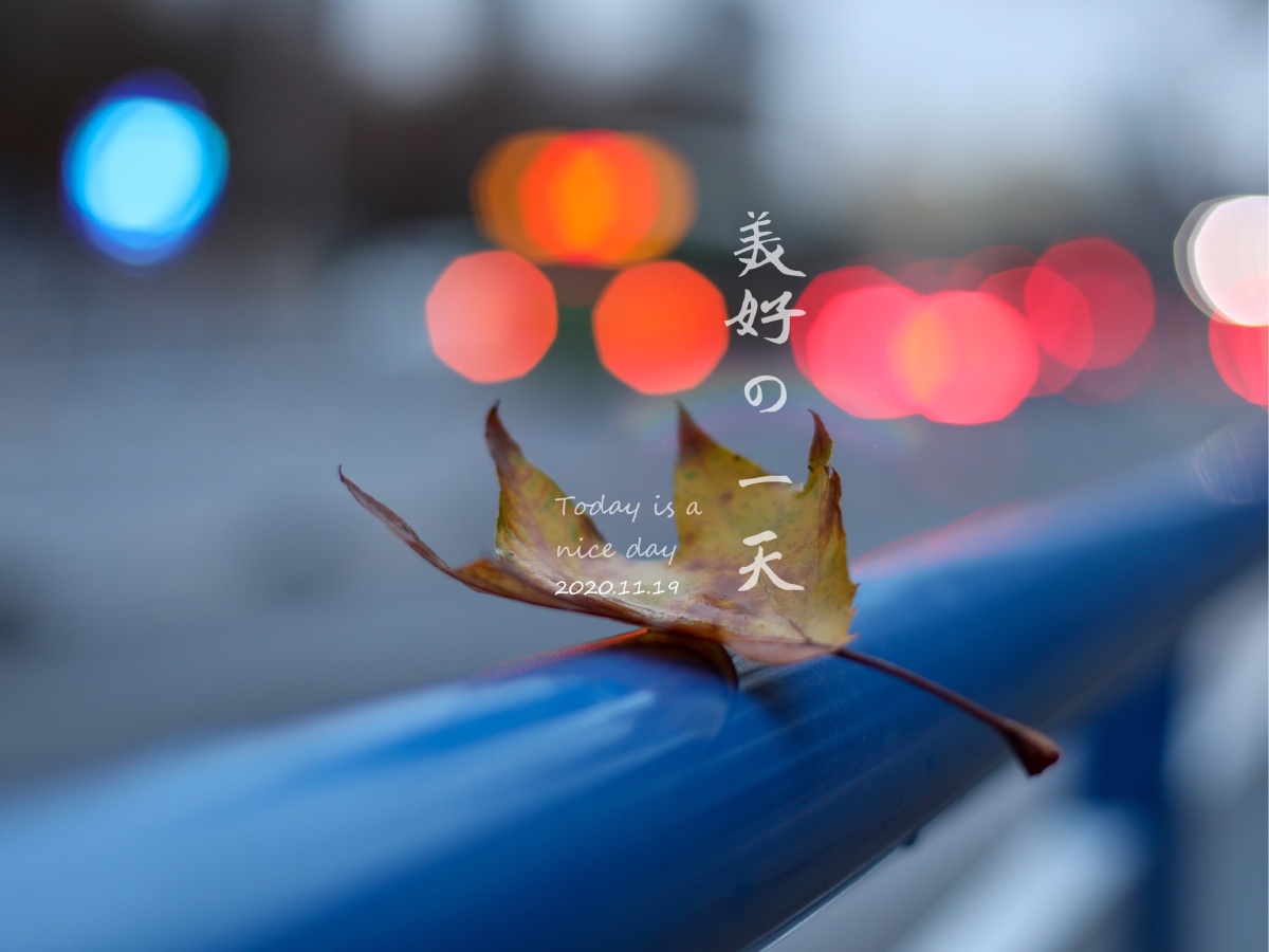 个字顺其自然随遇而安早安了您想睡就睡想起就起美好的一天从睁眼开始