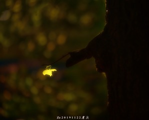 001